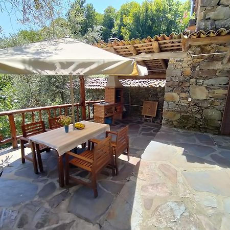 Casa Da Esperanca Villa Lousã Eksteriør bilde