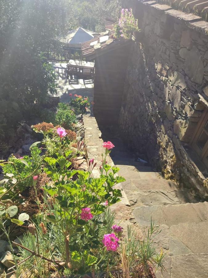 Casa Da Esperanca Villa Lousã Eksteriør bilde